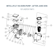 Intelliflo VS+SVRS Pump - After June 2016