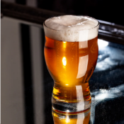 Bold Unbreakable Drinkware - Revolution 16 oz. Beer Glass