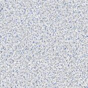 Latham Vinyl Pool Liner - Crystal Quartz