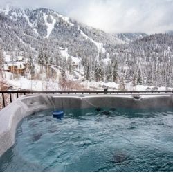 Hot Tub Buying Guide