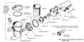 Hayward PowerFlo Pump - Parts Diagram
